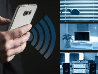 Intrusion Detection Systems (IDS)