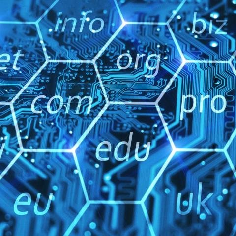 Niche Domain Extensions: Small Change, Big Impact